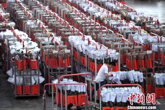 图为昆明斗南国际花卉中心内，买家查看鲜花品质。　任东 摄